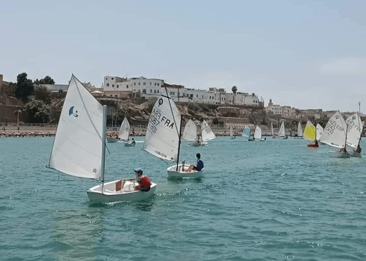 Stage de Voile - Optimist - 196065_517507.png